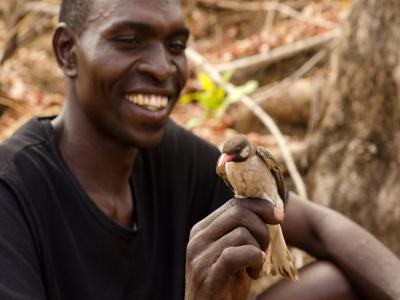 Honey-Hunter with a Honeyguide