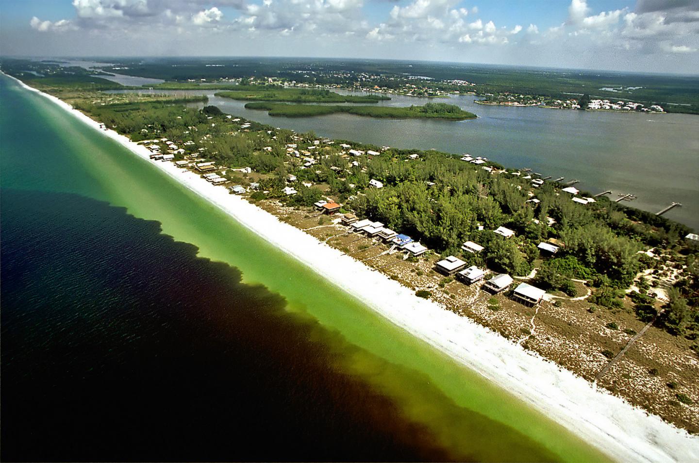 Red Tide [IMAGE] EurekAlert! Science News Releases
