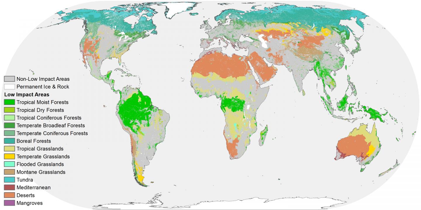 Much of the Earth is Still Wild, But Threatened by Fragmentation