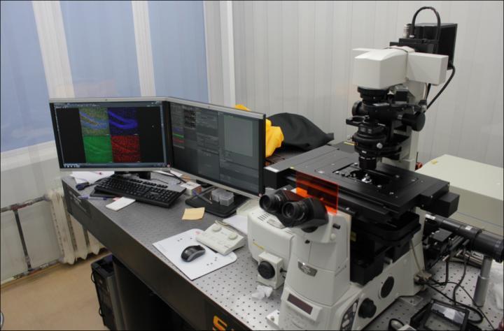 Intravital Microscope
