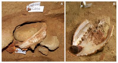 Ochre-processing Toolkits in situ Showing Toolkit 1 and Toolkit 2