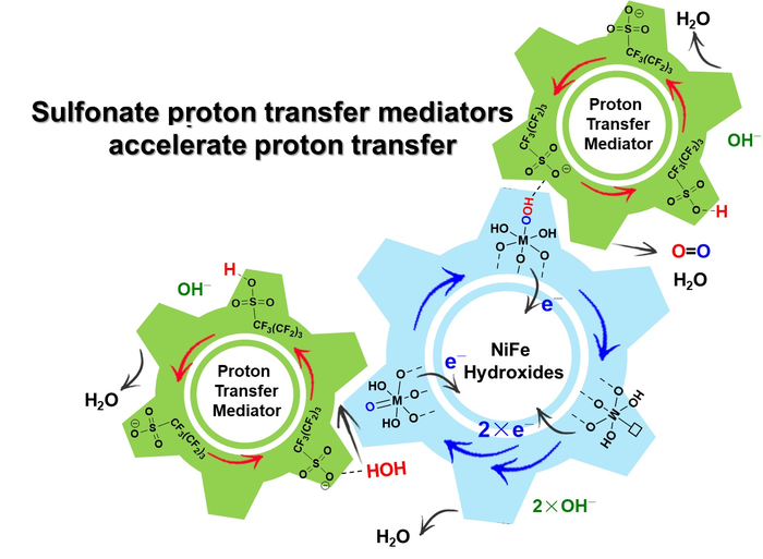 Schematic view of sulfonate promoted proton transfer processes