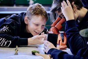 Thousands of primary school pupils have taken part in the Mass Experiment project.