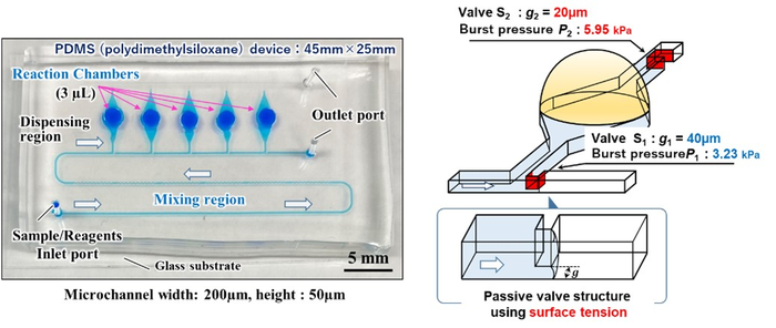 Photo of the multiplexed genetic diagnostic device and detailed design of the reaction microchamber