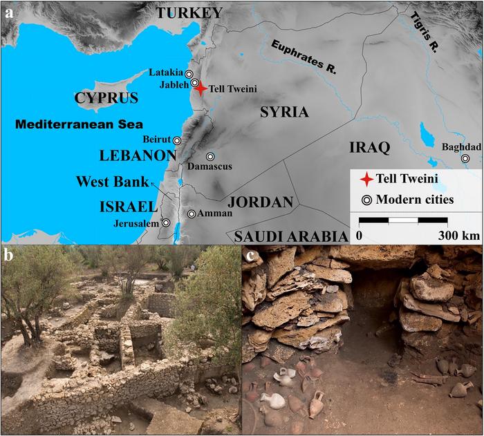 Agropastoral and dietary practices of the northern Levant facing Late Holocene climate and environmental change: Isotopic analysis of plants, animals and humans from Bronze to Iron Age Tell Tweini