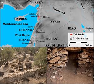 Agropastoral and dietary practices of the northern Levant facing Late Holocene climate and environmental change: Isotopic analysis of plants, animals and humans from Bronze to Iron Age Tell Tweini