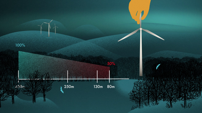 Bats at wind turbines