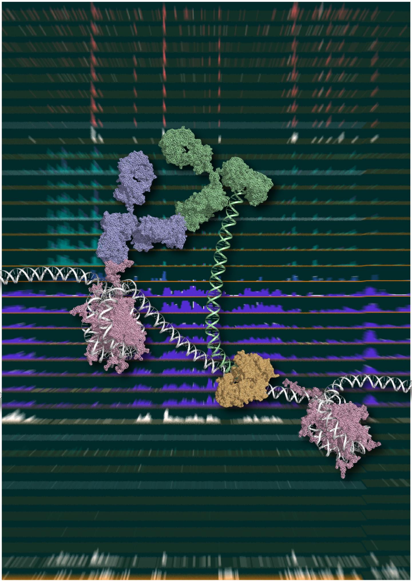 Chromatin Integration Labeling (ChIL)