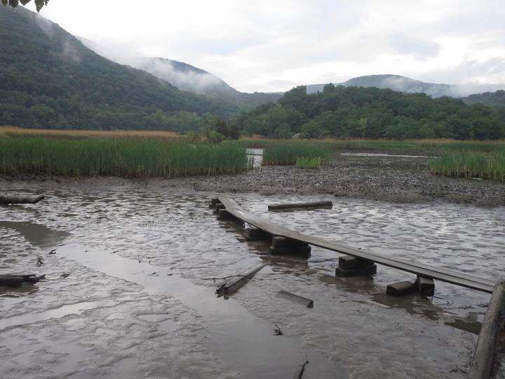 Hudson River Estuary site Iona Island