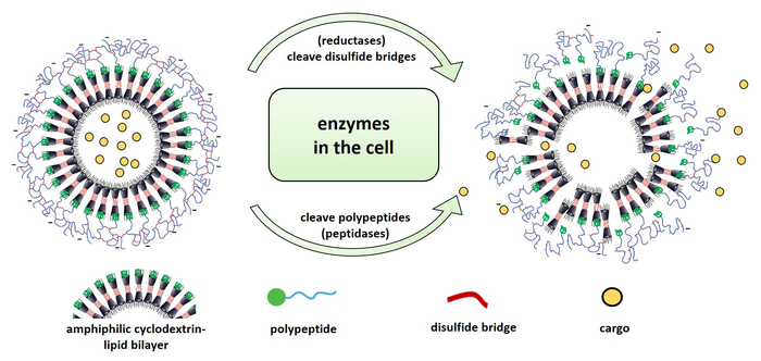 The principle behind the newly developed nanocontainers