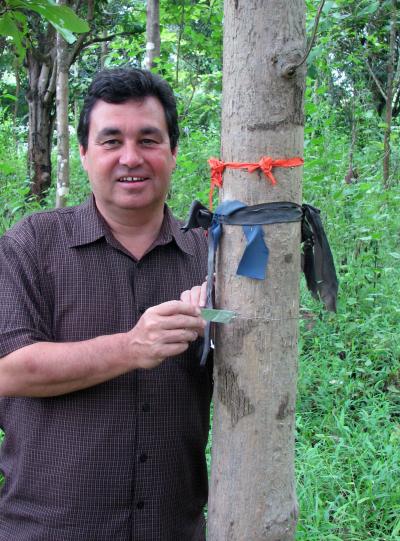 David Skole, Michigan State University 