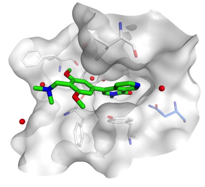 Where a New Drug Binds to Prevent Leukemia from Proliferating