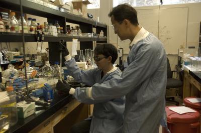 Woo-Jae Chung and Seung-Wuk Lee,   	 University of California - Berkeley 