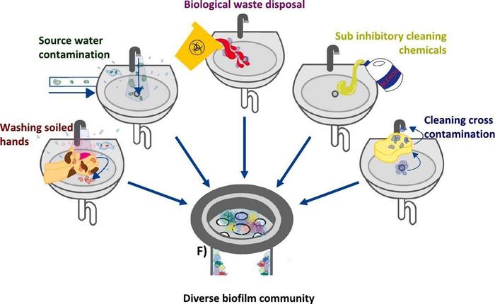 graphical abstract