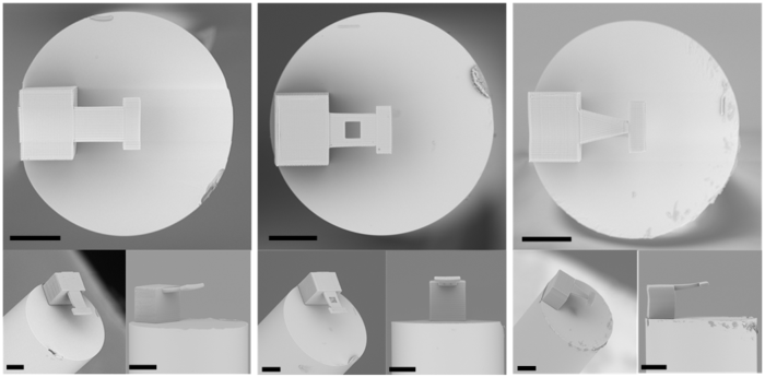 Scanning electron microscopy images of fiber-tip microcantilever probes