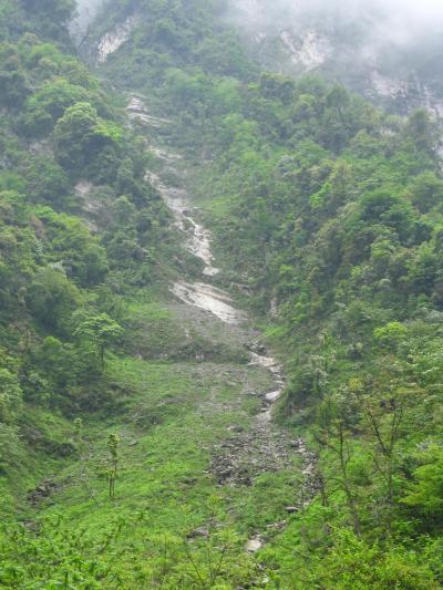 Landslide Regeneration