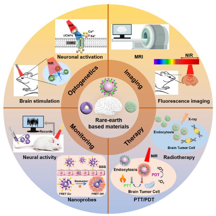 The overview of recent development and applications of rare-earth based materials for brain disease diagnosis and treatments.