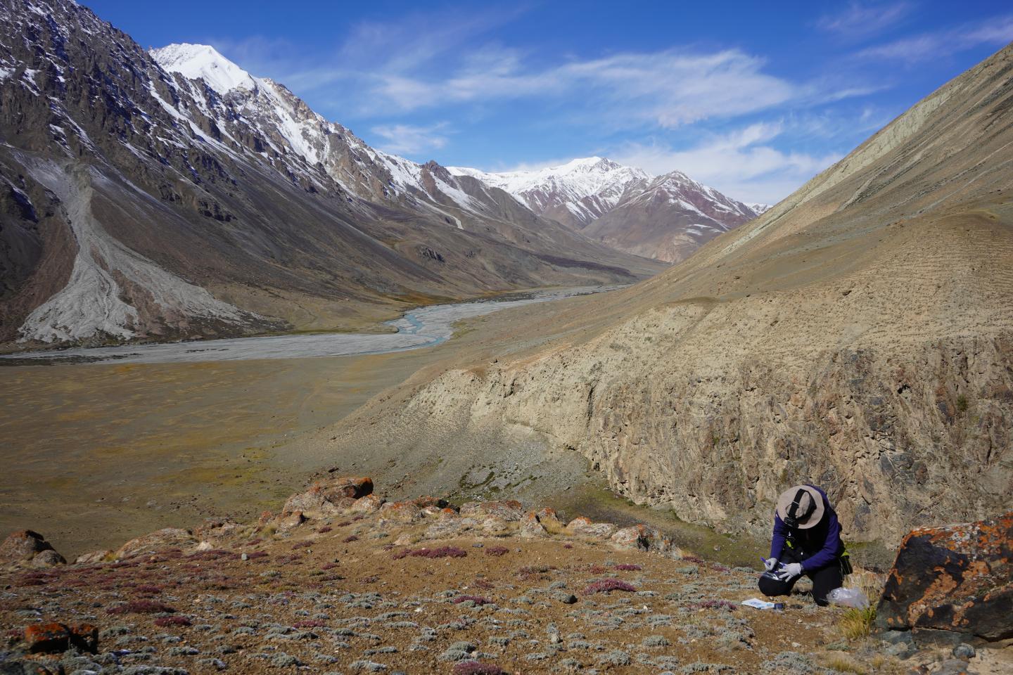 Collecting snow leopard scats. Credit Kodzue Kinoshita