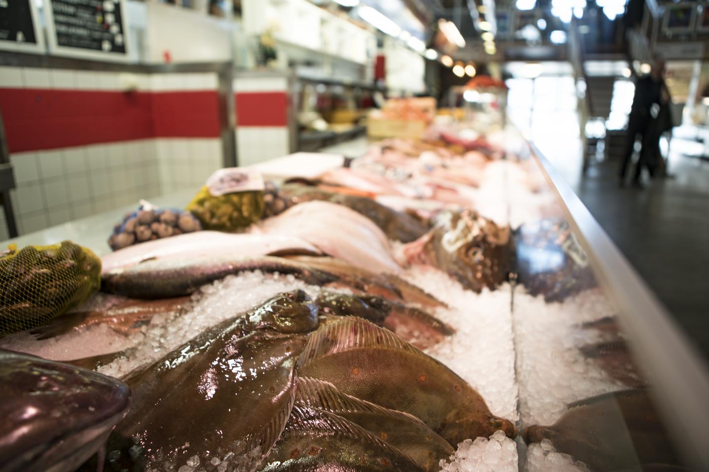 Eating More Fish Could Prevent Parkinson's Disease