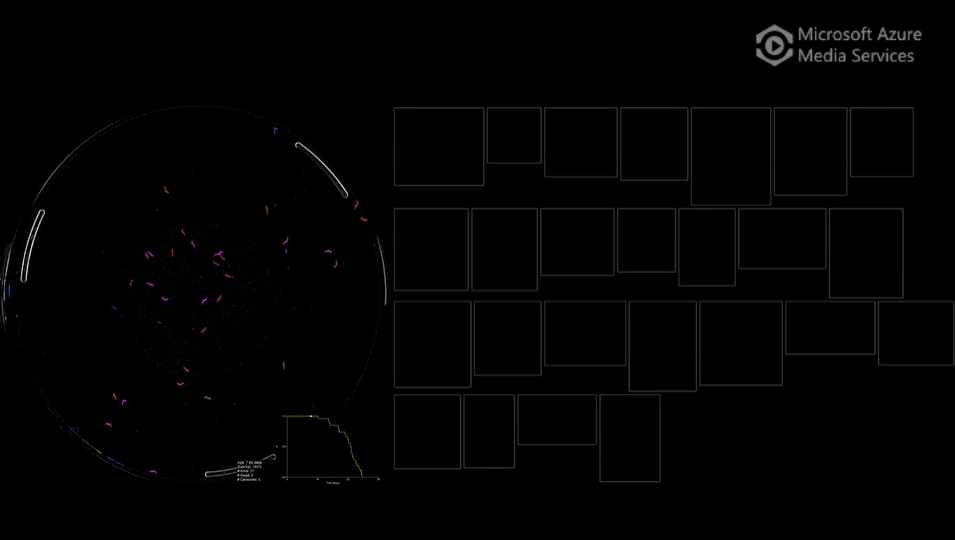 Lifespan machine scanning nematodes