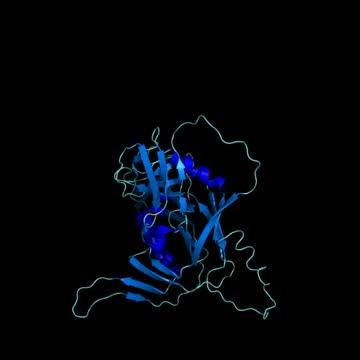 Getting Better Acquainted With Glycans