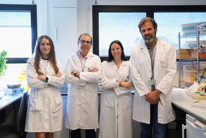 Part of the team that has developed the research, in the IMIBIC laboratory