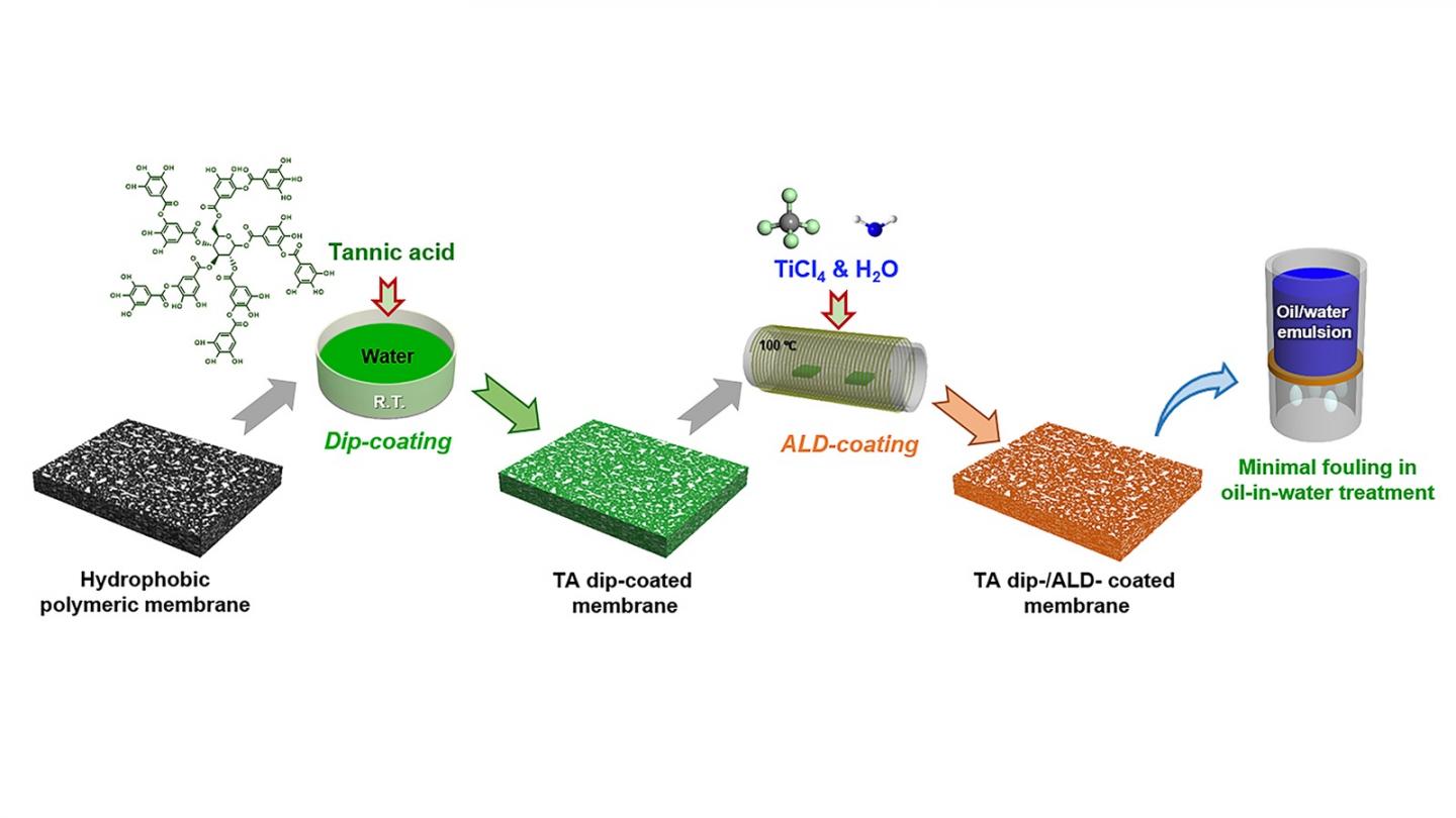 Figure 1_polymer