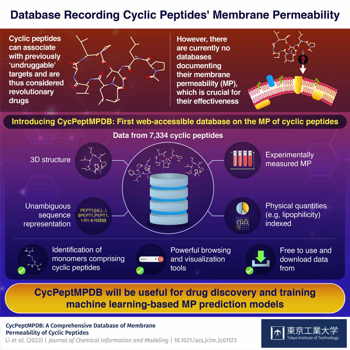 Database Recording Cyclic Peptides' Membrane Permeability