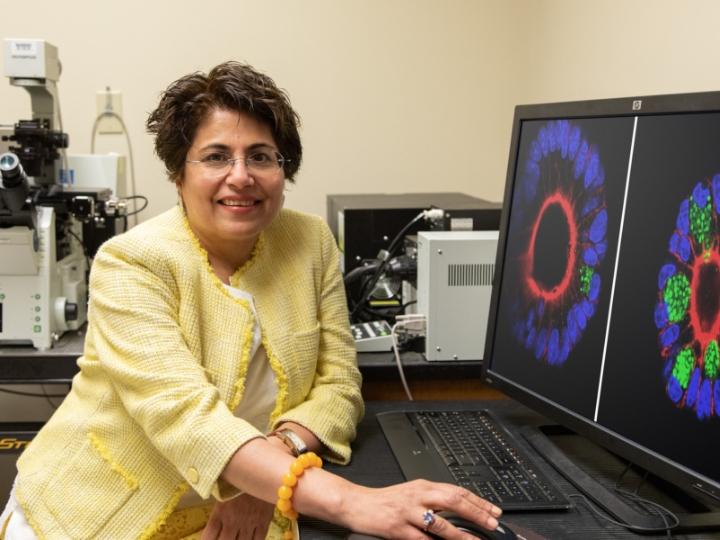 University of Houston Biologist Seema Khurana