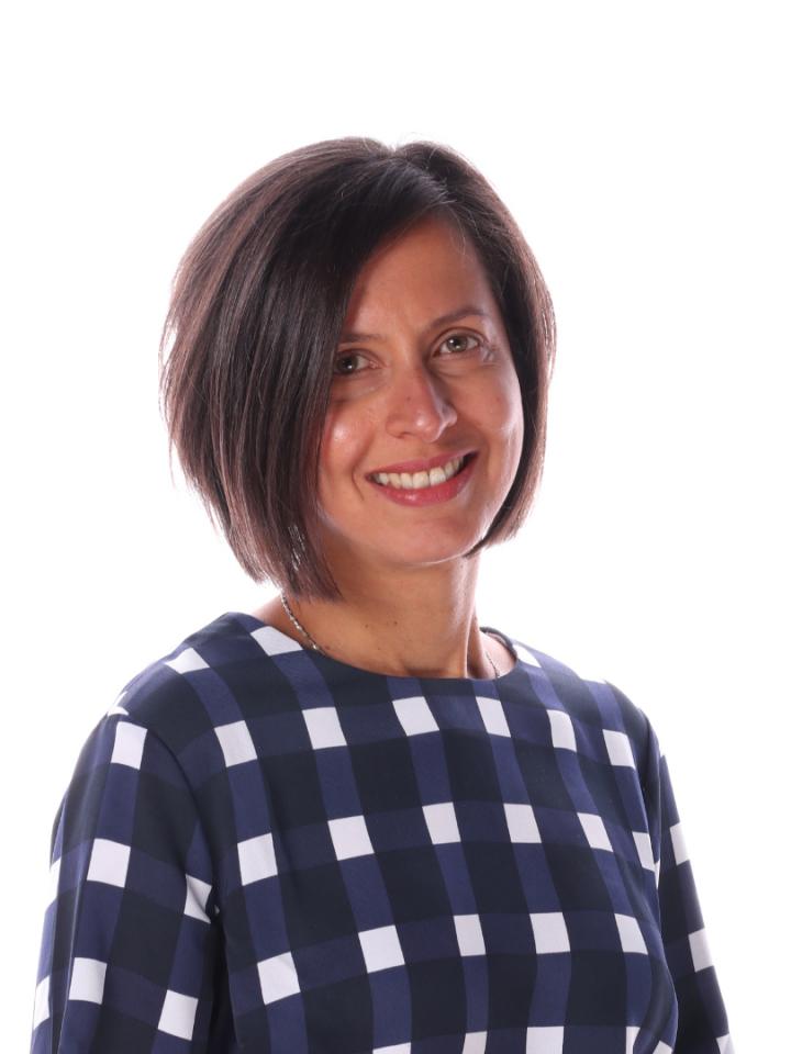 Harriette Van Spall, McMaster University