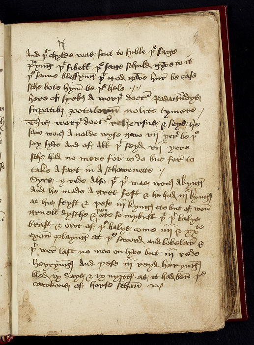 Red herring in the Heege Manuscript