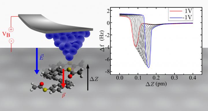 The Converse Piezoelectric Effect in Single Heptahelicene-derived Molecules