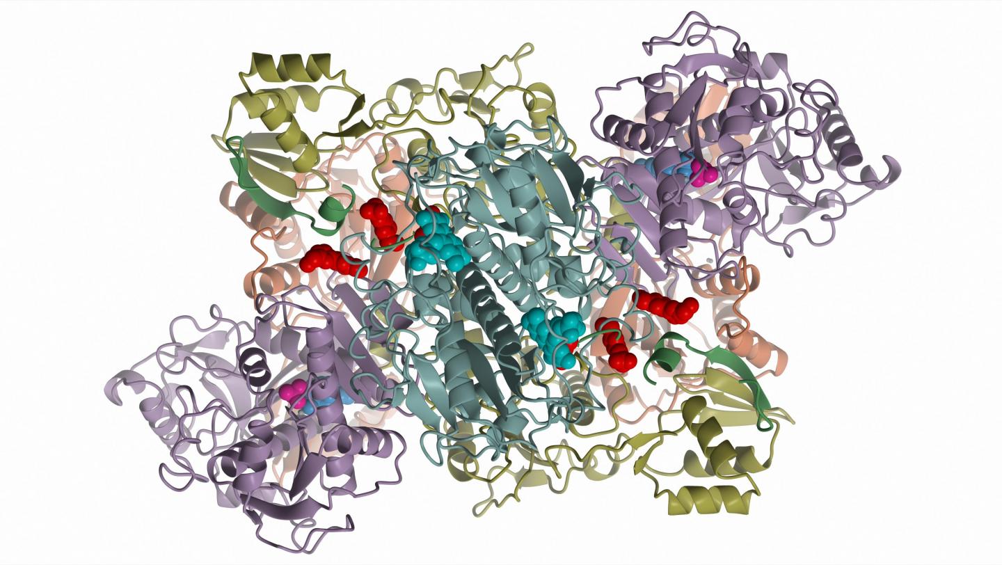 Molecular Machinery of Antibiotic