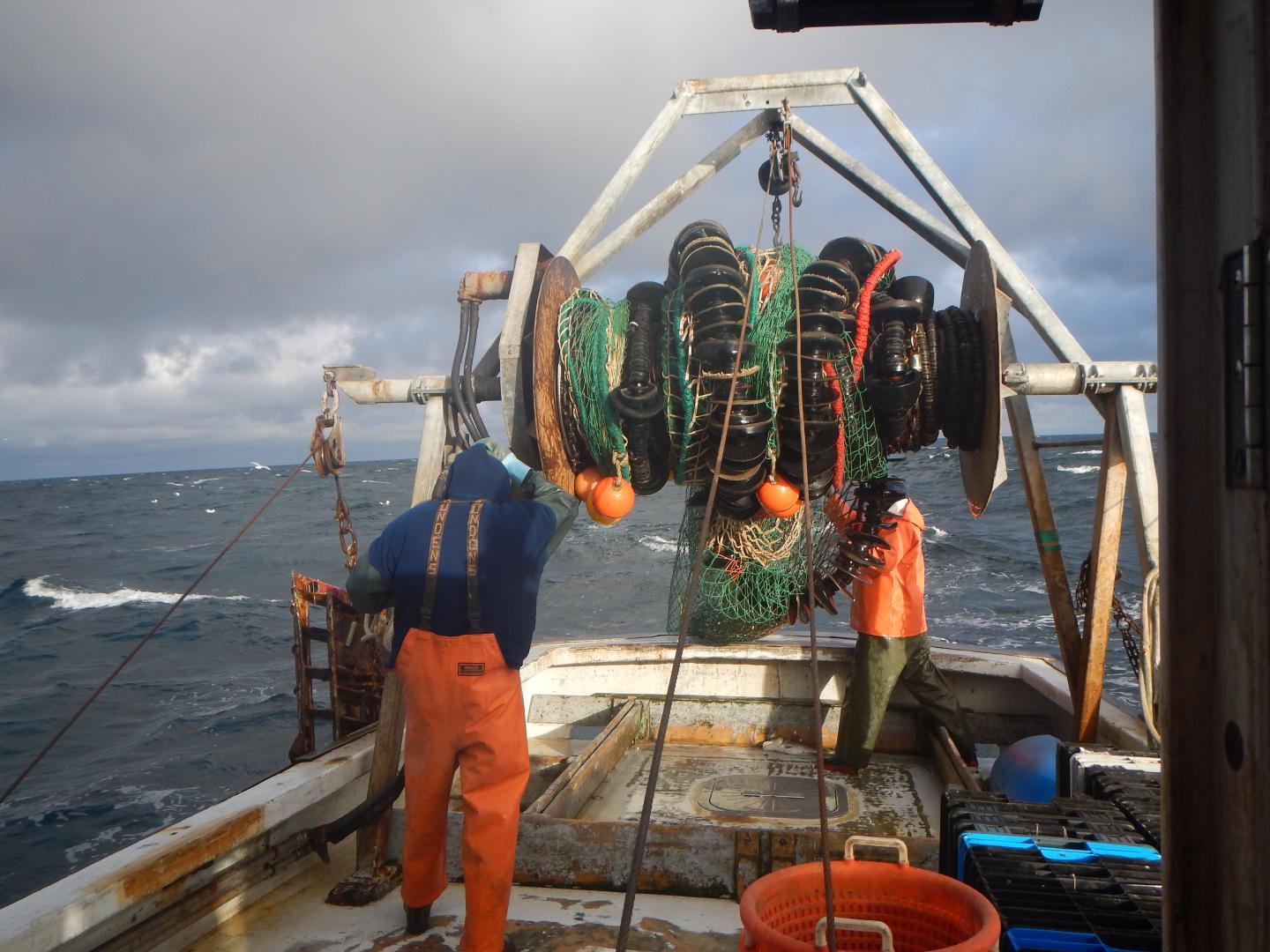 Cod Fishing in Maine