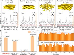 A New Strategy of Three-Phase Catassembling Small Nanoparticles Proposed for SERS Sensing