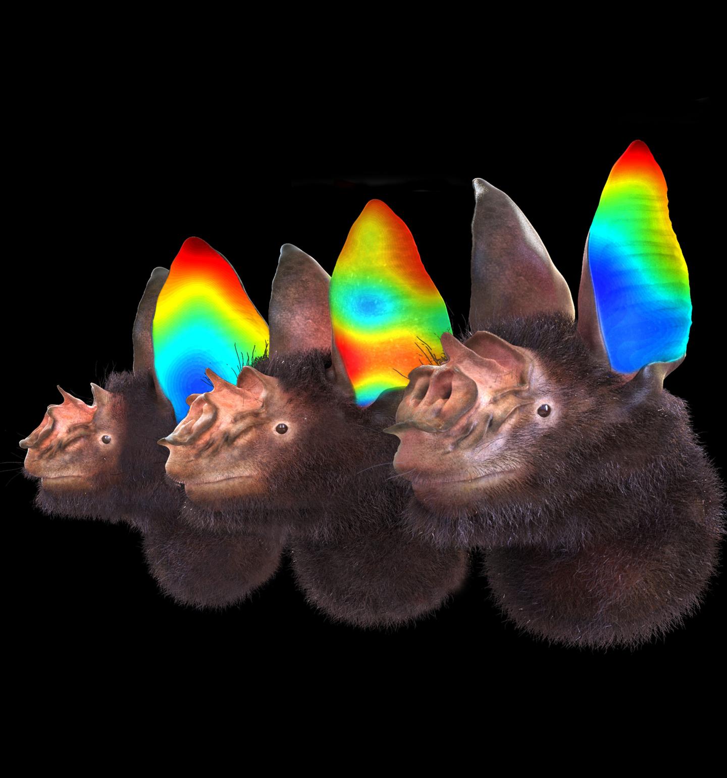 Ear motions and Doppler shifts in bats' bioso EurekAlert!