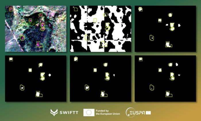 DIAMANTE: A data-centric semantic segmentation approach to map tree dieback induced by bark beetle infestations via satellite imagese