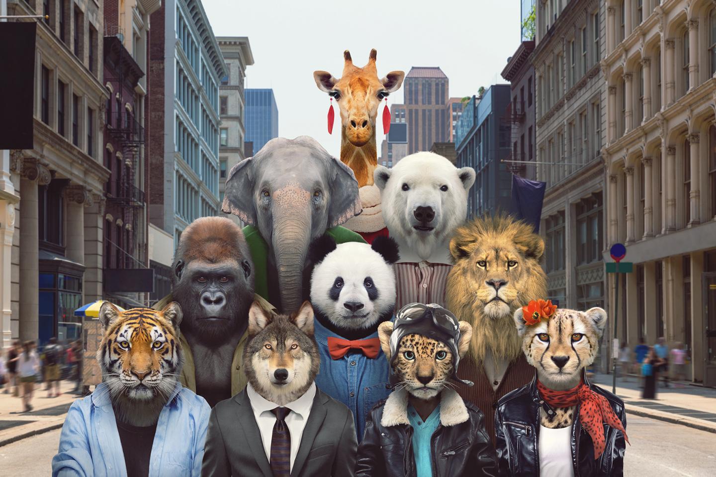 Illustration of Animals in City