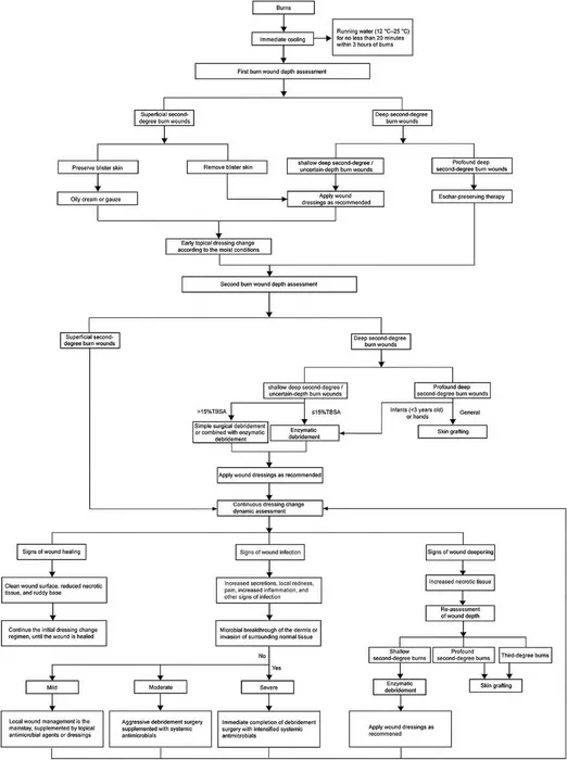 Treatment processs for second- [IMAGE] | EurekAlert! Science News Releases