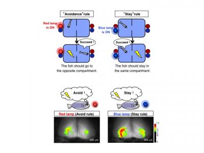 Fishing for Memories (2 of 2)