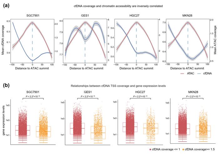 Exploring chromatin accessibil [IMAGE] Biology Diagrams