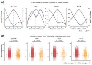 Exploring chromatin accessibility and its diagnostic potential in cancer through the utilization of cell-free DNA