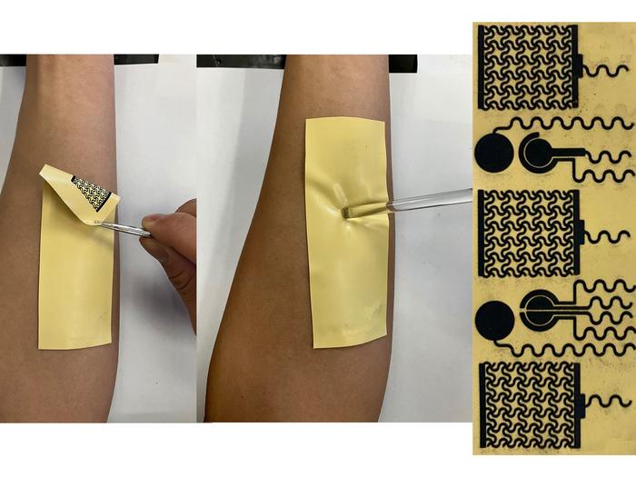 Rewritable, Recyclable ‘Smart Skin’ Monitors Biological Signals on Demand