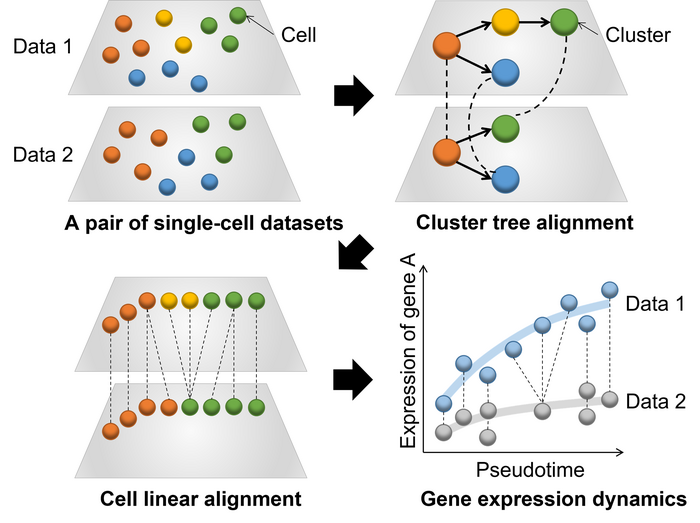 Fig. 1 [IMAGE] EurekAlert! Science News Releases