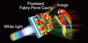 Schematic diagram of the working principle of the color printing using pixelated F–P cavities.