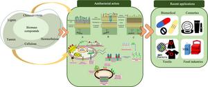 Biomass-Derived Antimicrobials: A Leap Towards Sustainable Solutions