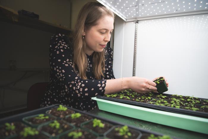 Sarah Pfaff with plants