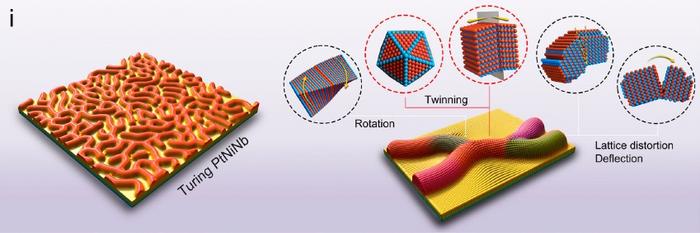 Schematic diagram