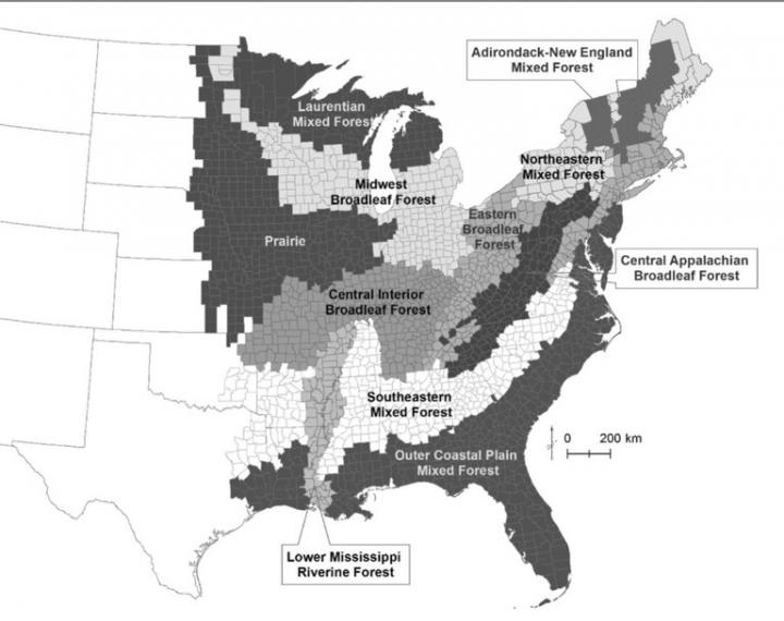 Deer Map