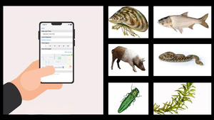 Smartphone apps for monitoring the spread of invasive species